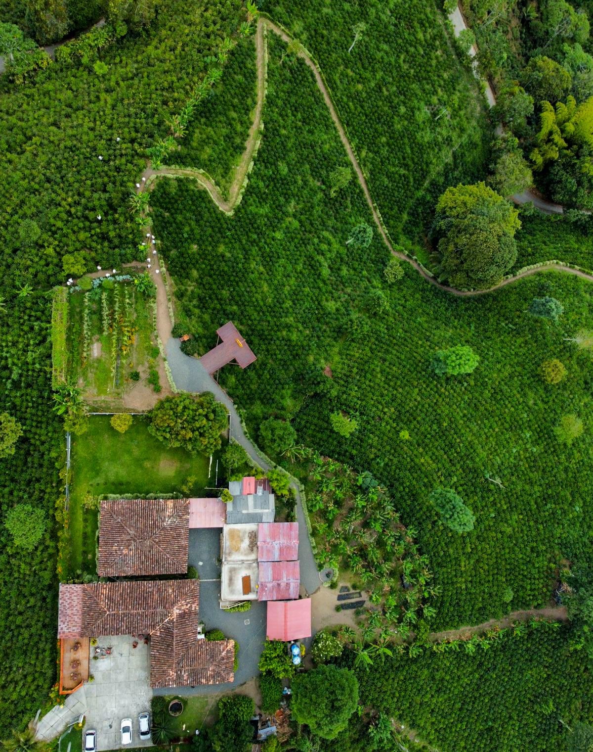 Vista aérea de la finca