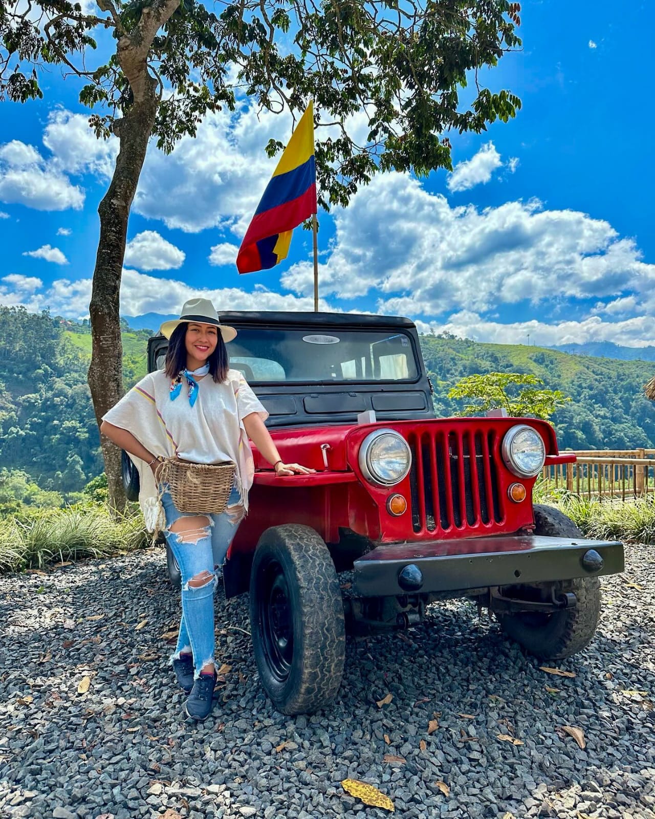 Jeep Willys Finca Buenos Aires