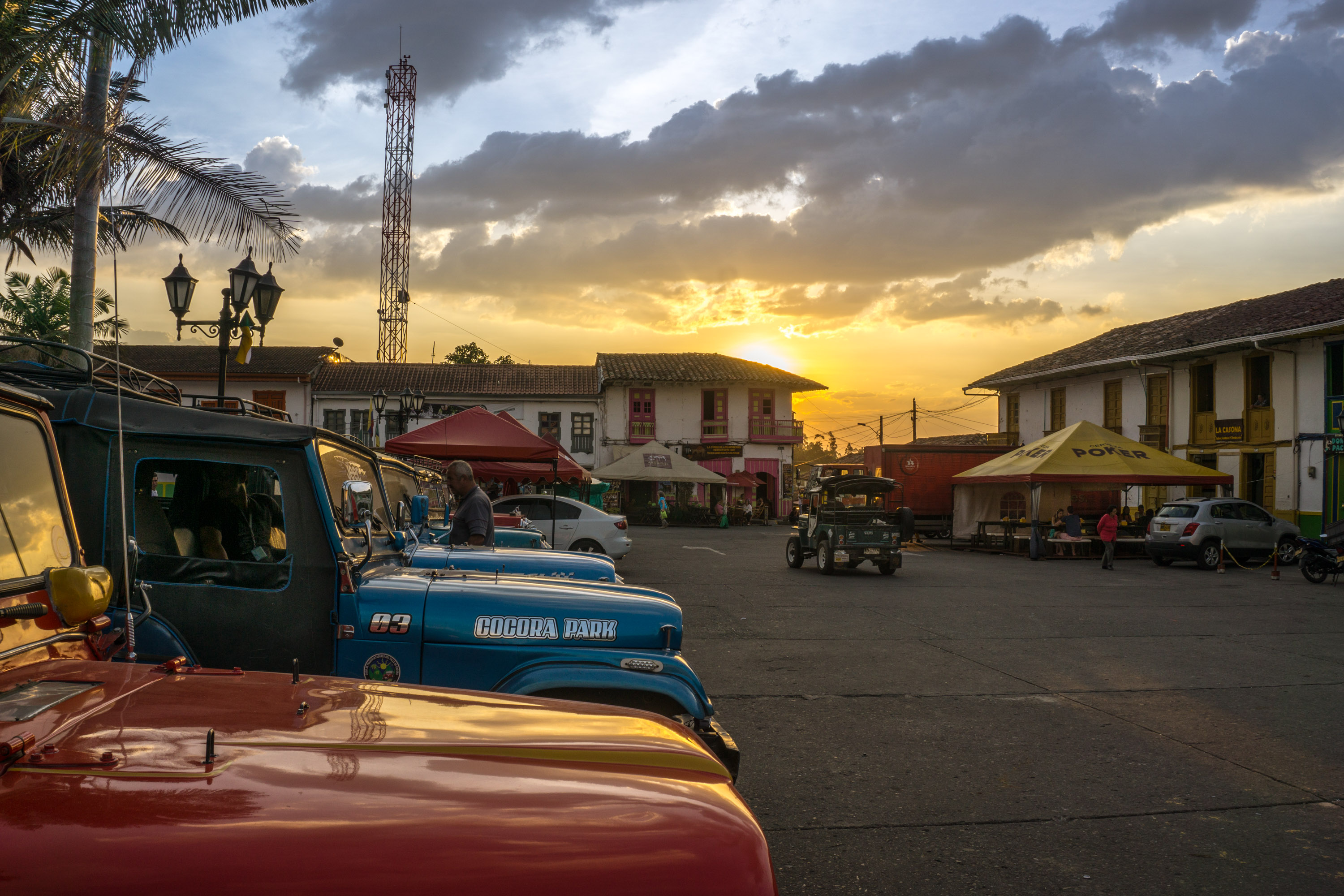 Palmas de cera del Quindío