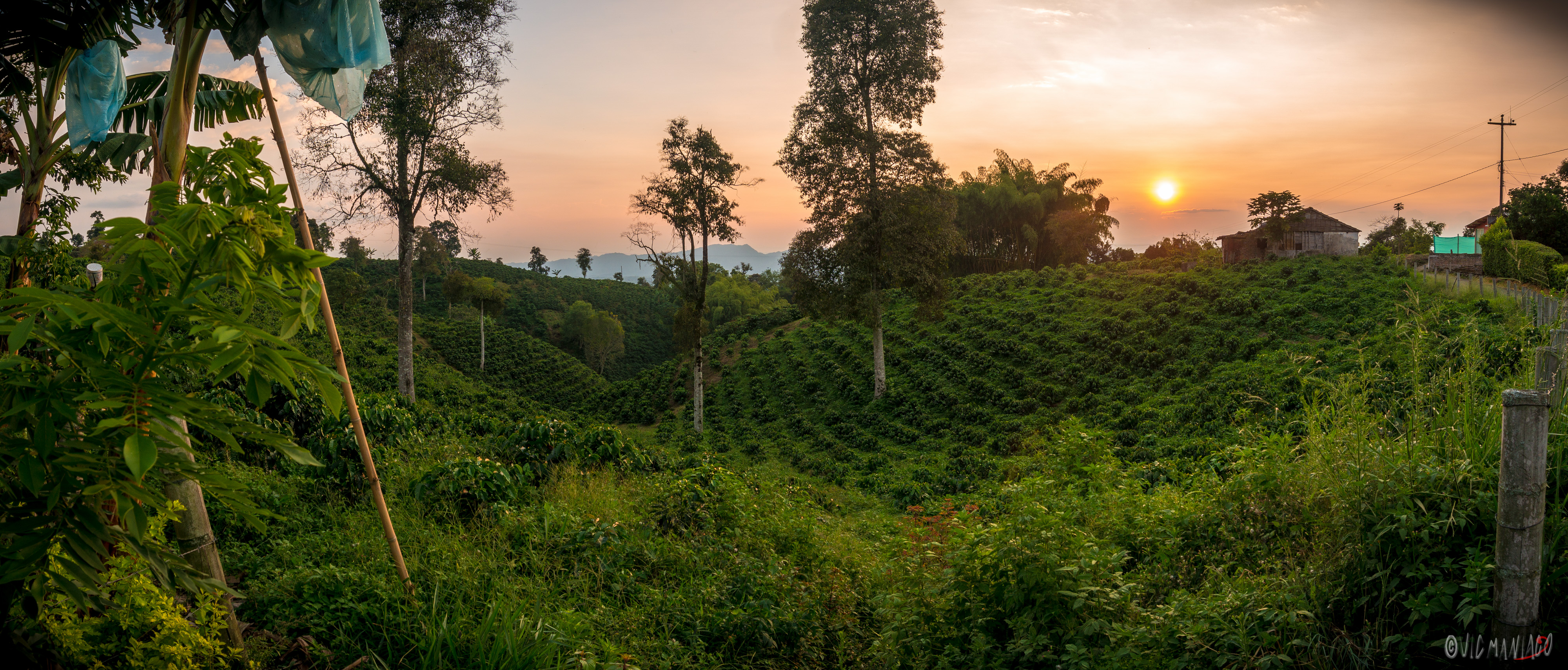 Finca Entrebosques — bosque nuboso