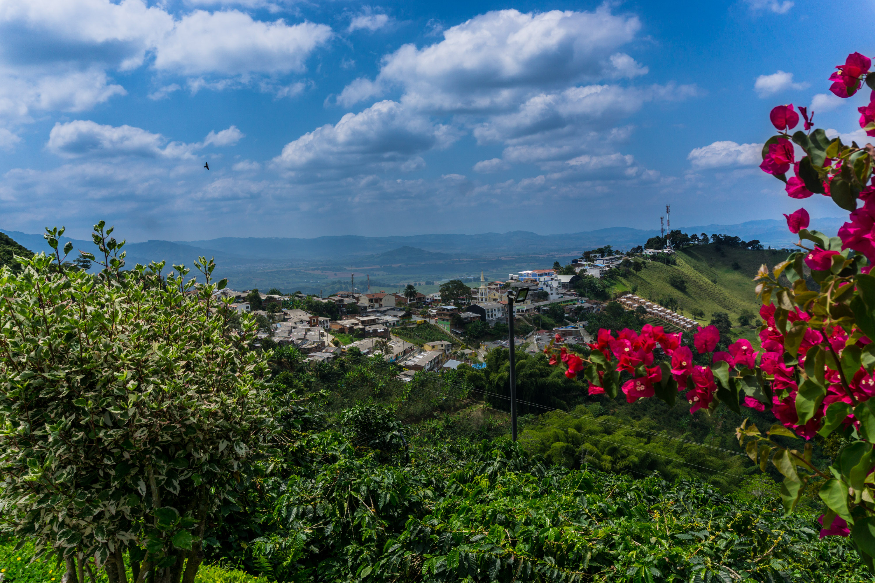 Pueblo cafetero del Quindío